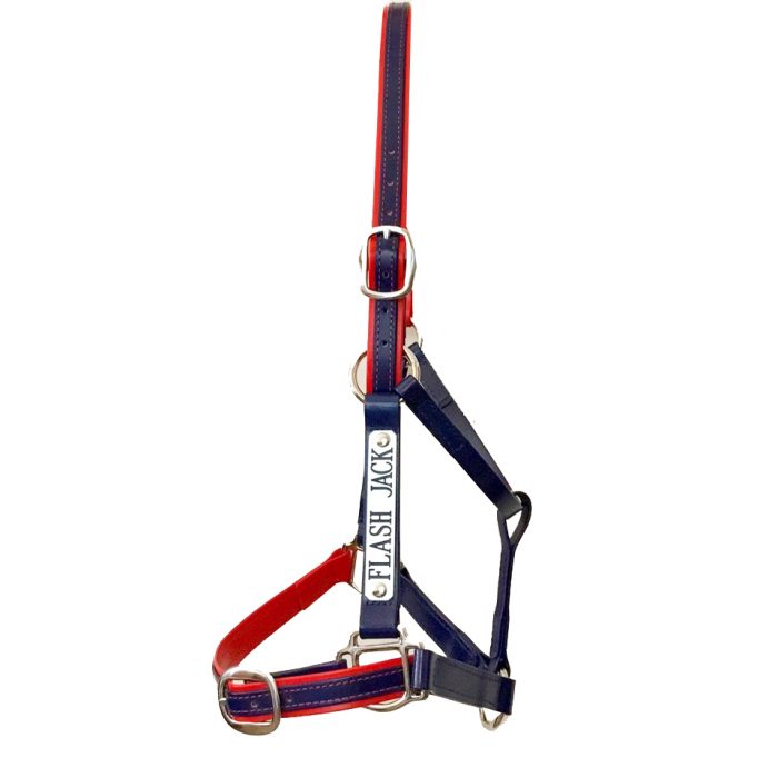 Custom Two Colour Halter;