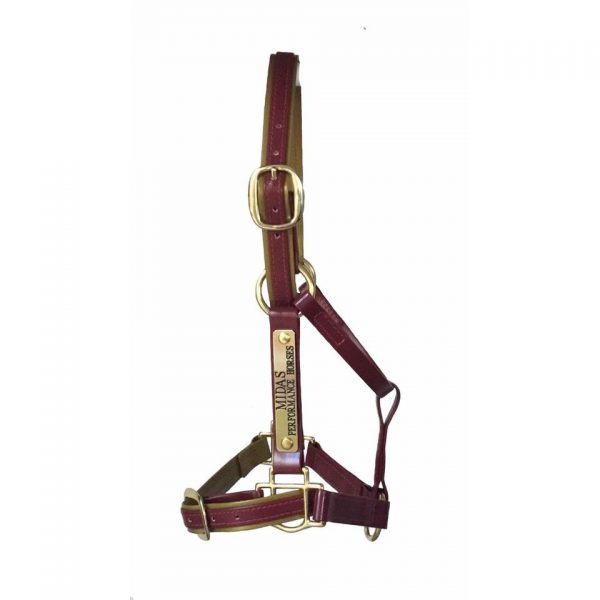 Custom Two Colour Halter; - Image 4