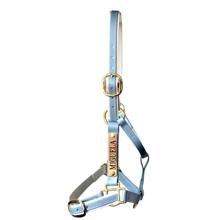 Custom Halters SS Saddlery