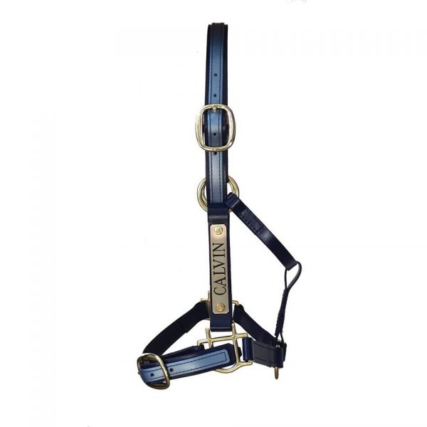 Custom Two Colour Halter; - Image 3