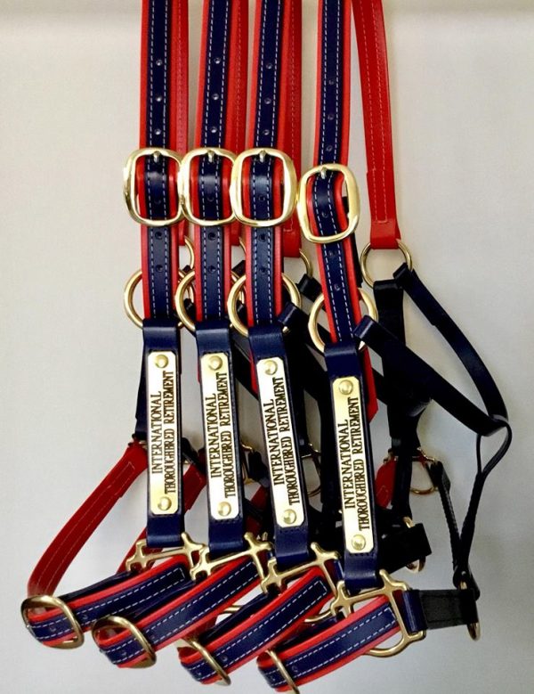 Custom Two Colour Halter; - Image 6
