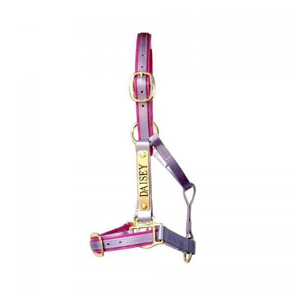 Custom Two Colour Halter; - Image 5