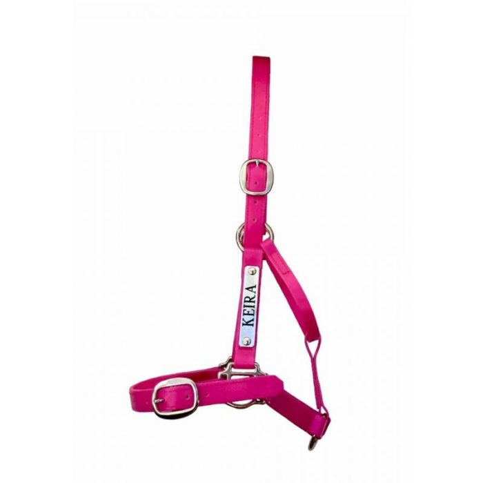 Custom Single Colour Halter