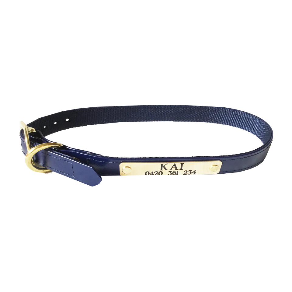 Dog Collar – SS Saddlery